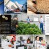 LIVRE BIERESWAPI2 – Image 5